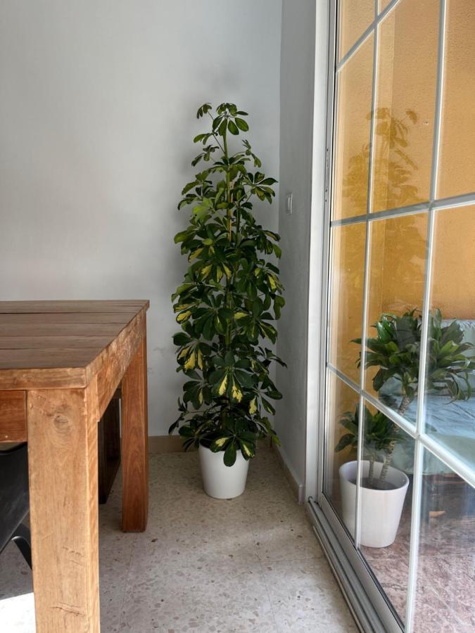 Apartamento La Biznaga Málaga Eksteriør bilde