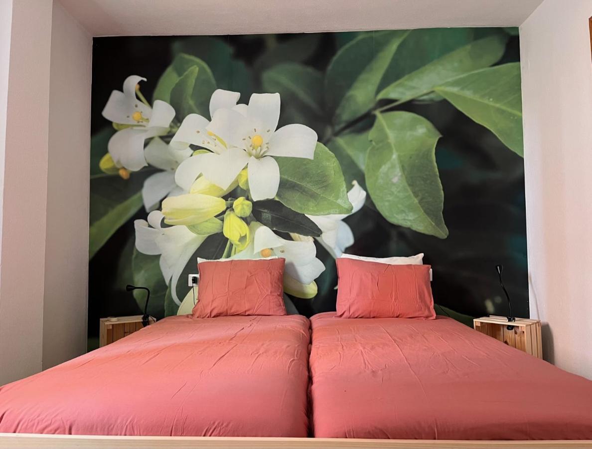 Apartamento La Biznaga Málaga Eksteriør bilde